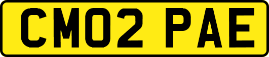 CM02PAE