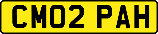 CM02PAH