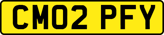 CM02PFY