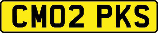 CM02PKS