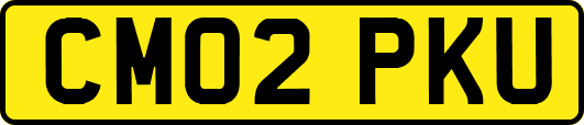 CM02PKU
