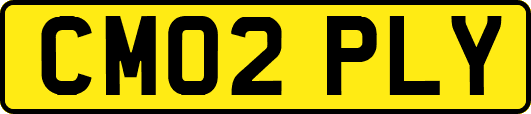 CM02PLY