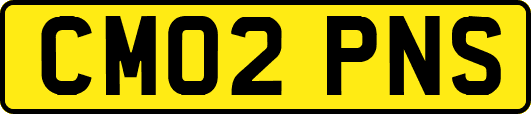 CM02PNS