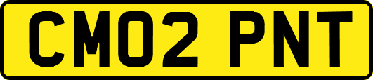 CM02PNT