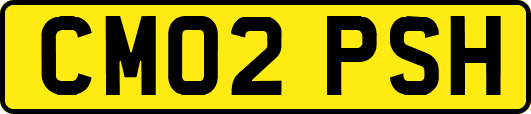 CM02PSH