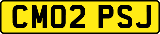 CM02PSJ