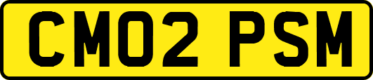 CM02PSM