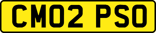 CM02PSO