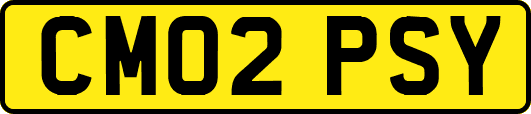 CM02PSY