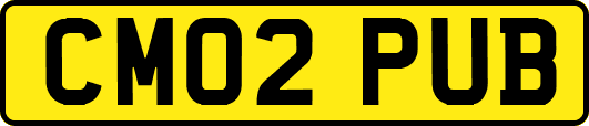 CM02PUB