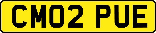 CM02PUE