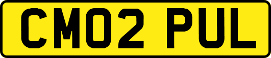 CM02PUL