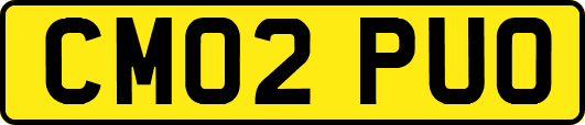 CM02PUO