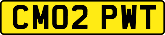 CM02PWT