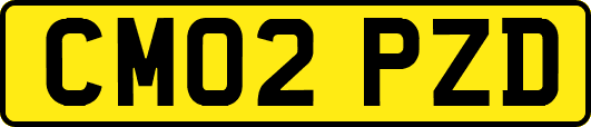 CM02PZD