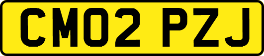 CM02PZJ
