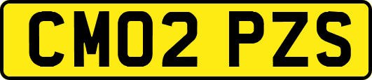 CM02PZS