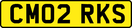CM02RKS