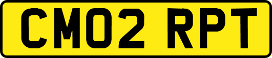 CM02RPT