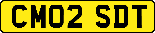 CM02SDT