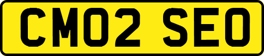 CM02SEO