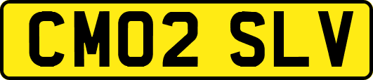CM02SLV