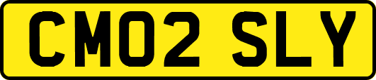 CM02SLY
