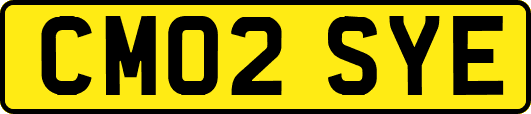CM02SYE