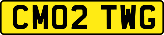 CM02TWG