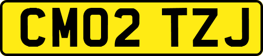 CM02TZJ