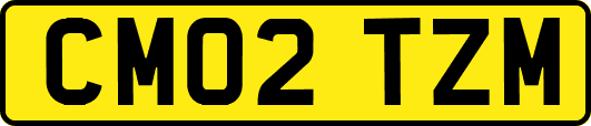 CM02TZM