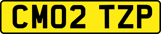 CM02TZP