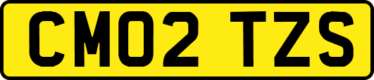 CM02TZS