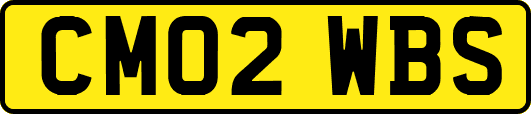 CM02WBS