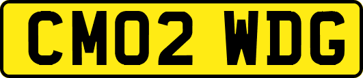 CM02WDG