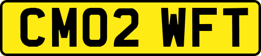 CM02WFT
