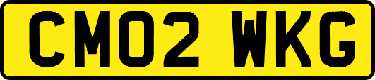 CM02WKG