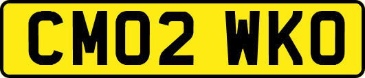 CM02WKO