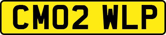 CM02WLP