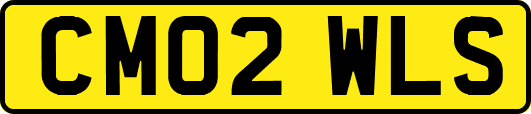 CM02WLS