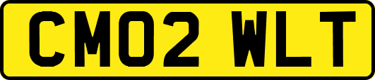 CM02WLT