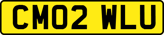 CM02WLU