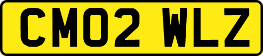 CM02WLZ