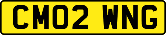 CM02WNG