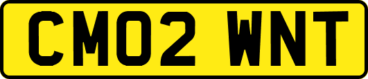 CM02WNT