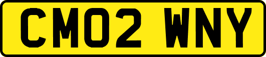 CM02WNY