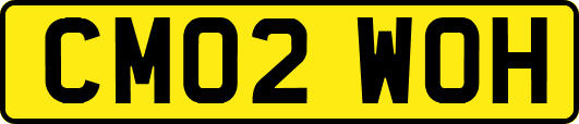 CM02WOH
