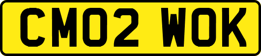 CM02WOK