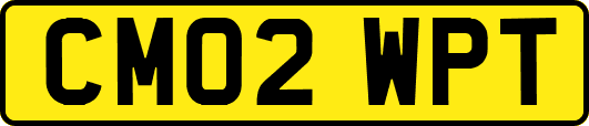CM02WPT