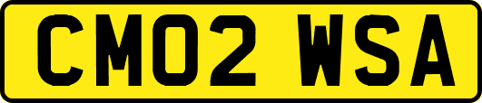 CM02WSA